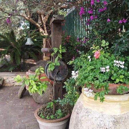 Il Casale Del Cortonese Διαμέρισμα Σάσαρι Εξωτερικό φωτογραφία