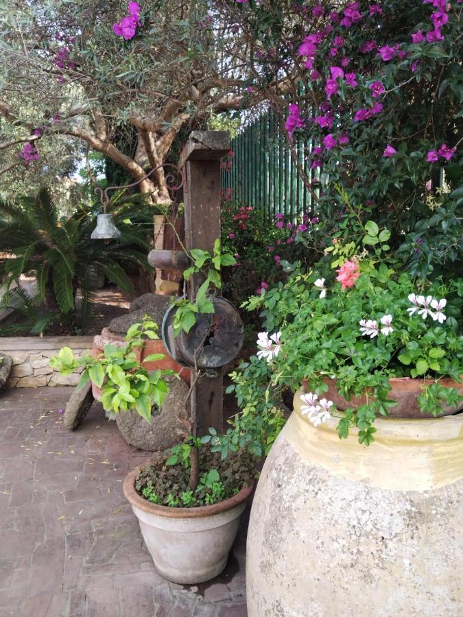 Il Casale Del Cortonese Διαμέρισμα Σάσαρι Εξωτερικό φωτογραφία
