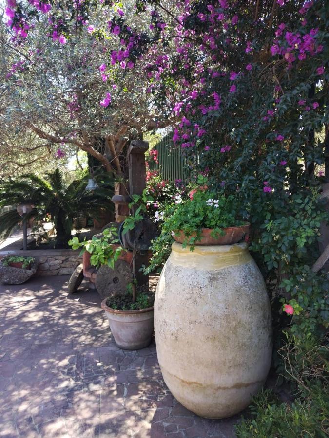 Il Casale Del Cortonese Διαμέρισμα Σάσαρι Εξωτερικό φωτογραφία