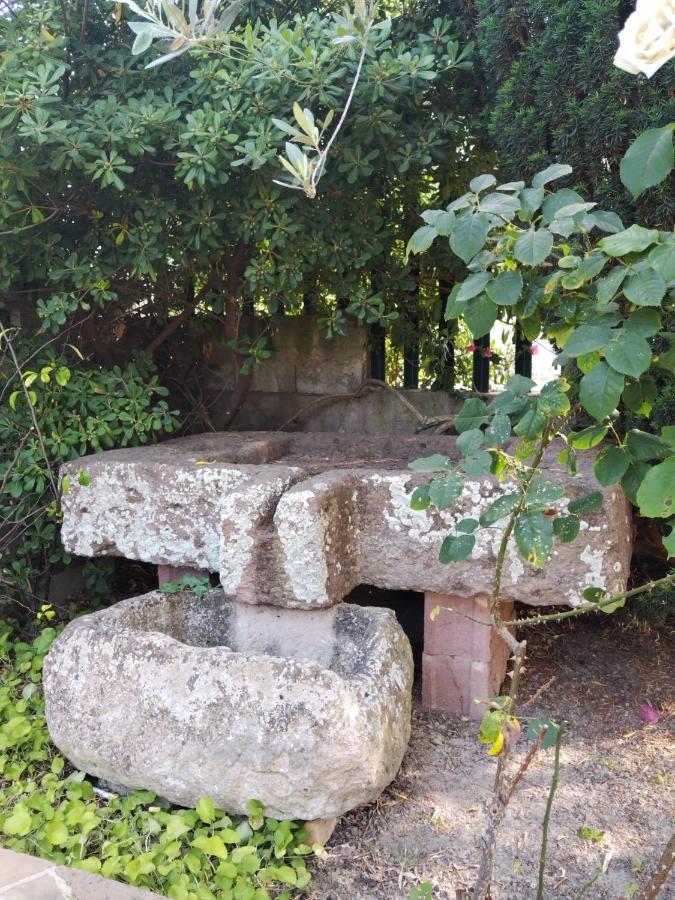 Il Casale Del Cortonese Διαμέρισμα Σάσαρι Εξωτερικό φωτογραφία